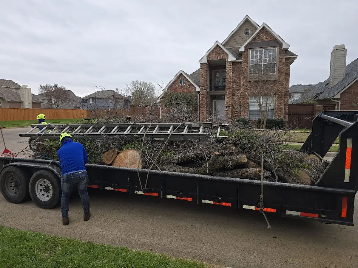 Expert Tree Removal with proper safety equipment in Bruington